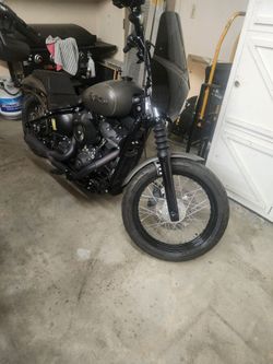 2019 Street Bob