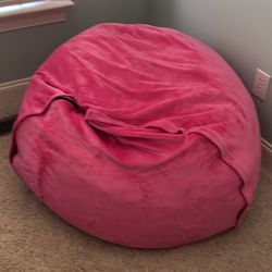 Large Bean Bag Chair