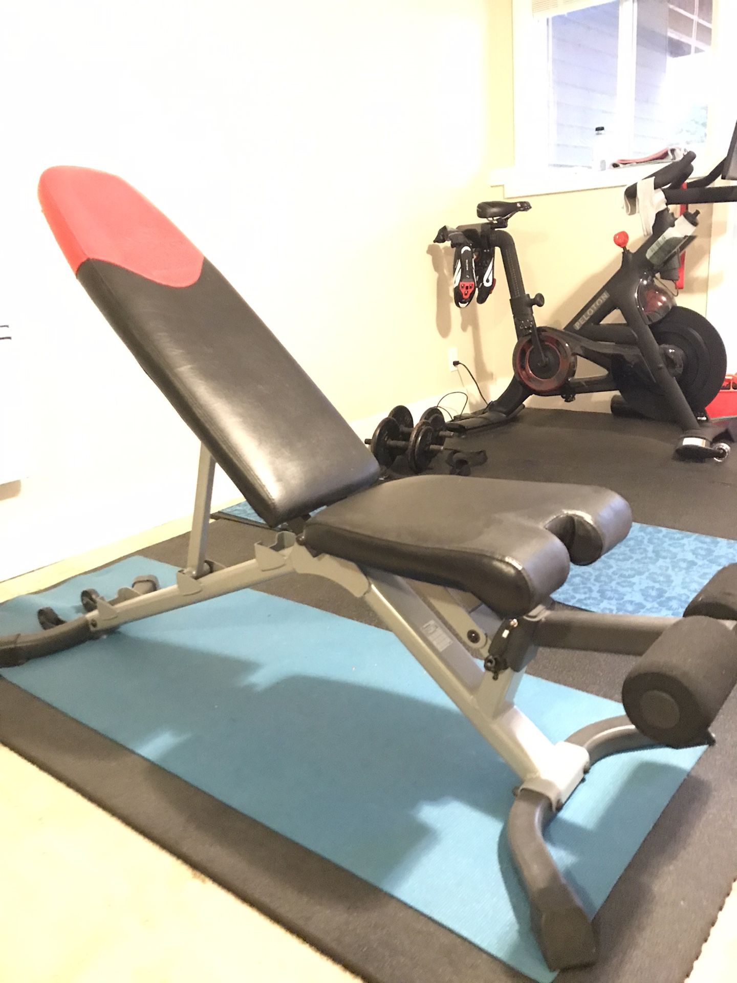 BowFlex Weight Bench