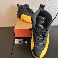 Air Jordan 12 Retro Size 8 In Men for Sale in Kissimmee FL OfferUp
