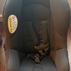 Car Seats 20.00 Each