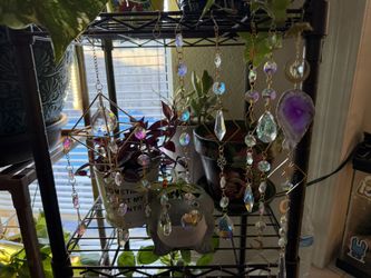 Sun Catchers