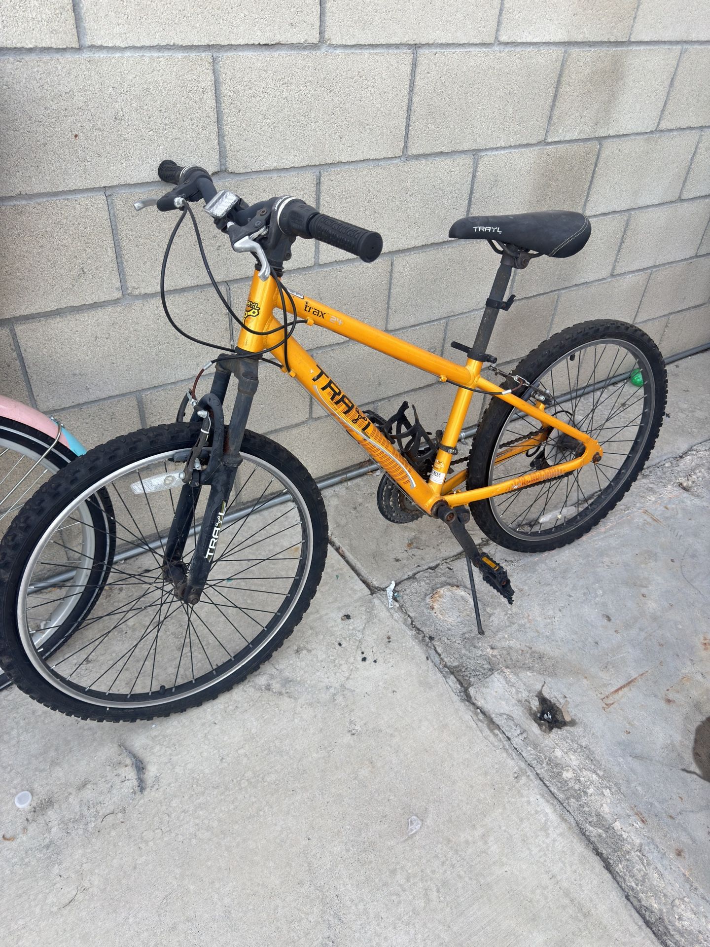 Adult Bike