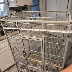  Bird Cage 
