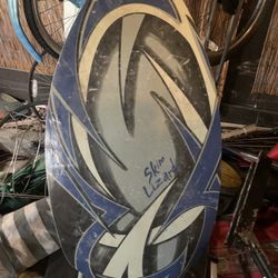 Skim Lizard Skim Board