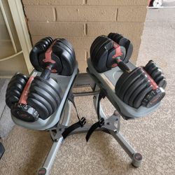 Bowflex Dumbells