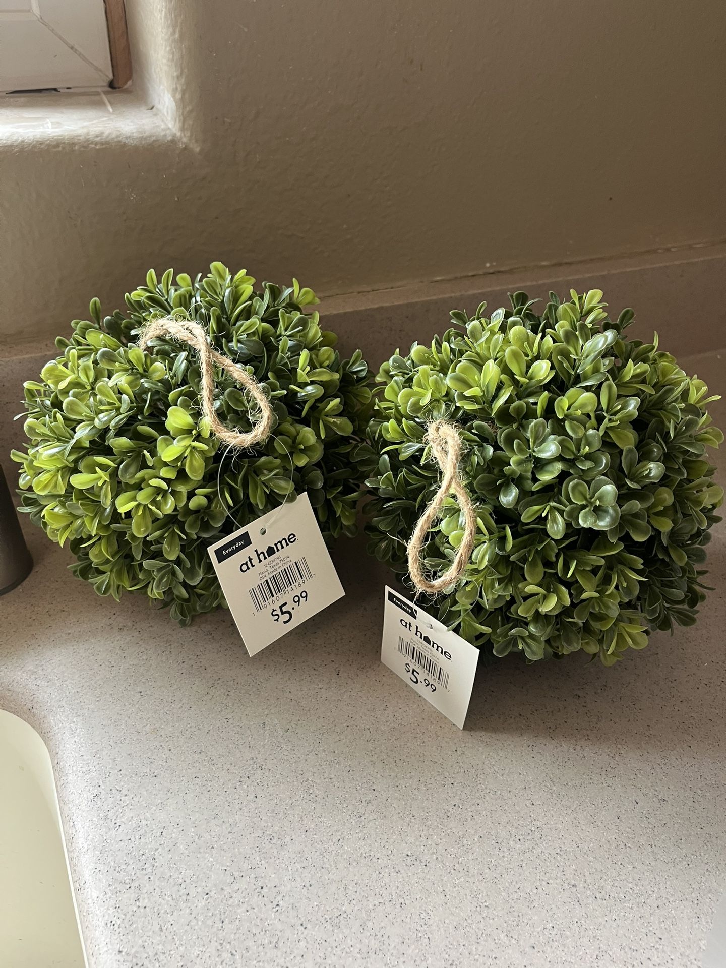 Topiary Ball From At Home