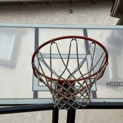 Lifetime Basketball Hoop 
