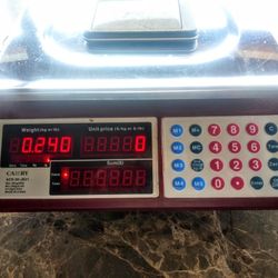 Commercial Food Scale