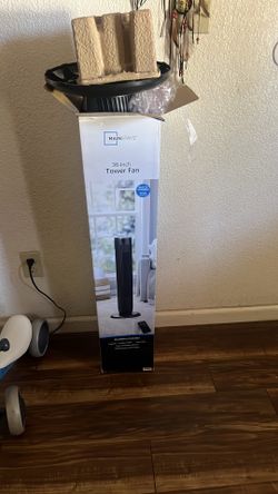 Fan