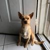 Carlos