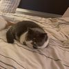 Barbara