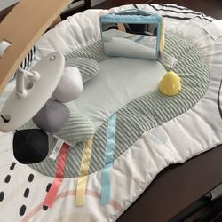 Skip Hop Activity Gym 