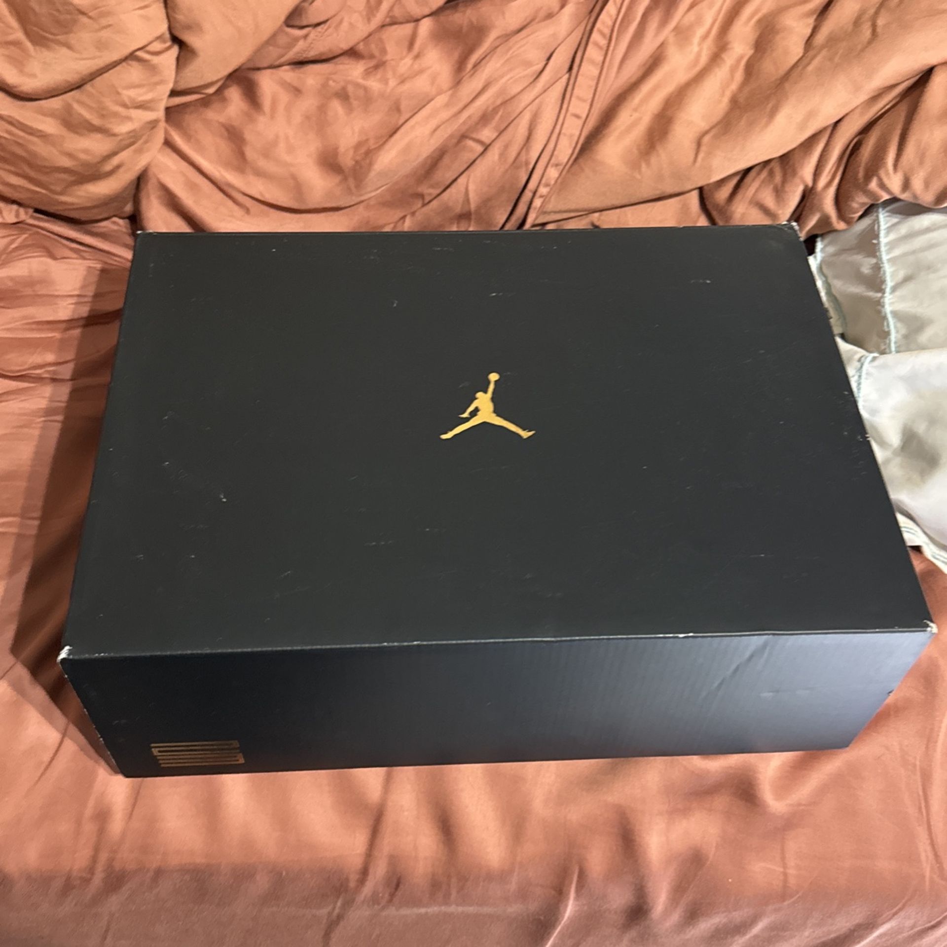 Jordan 11 Gratitudes Sz 11