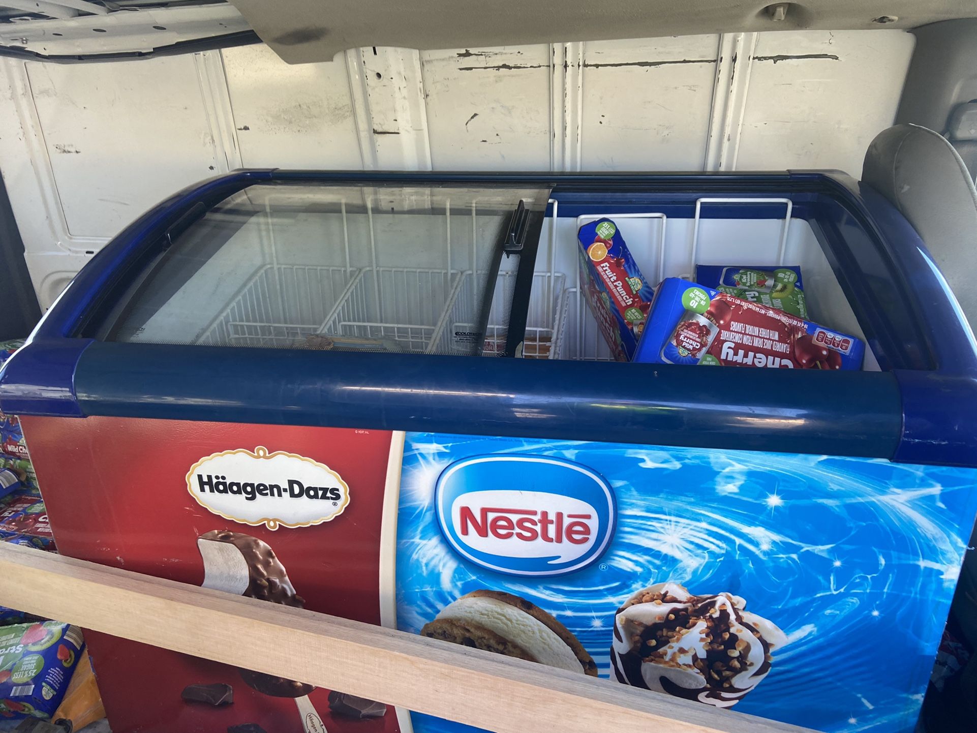 Caravell Nestle ice Cream Store Display Freezer