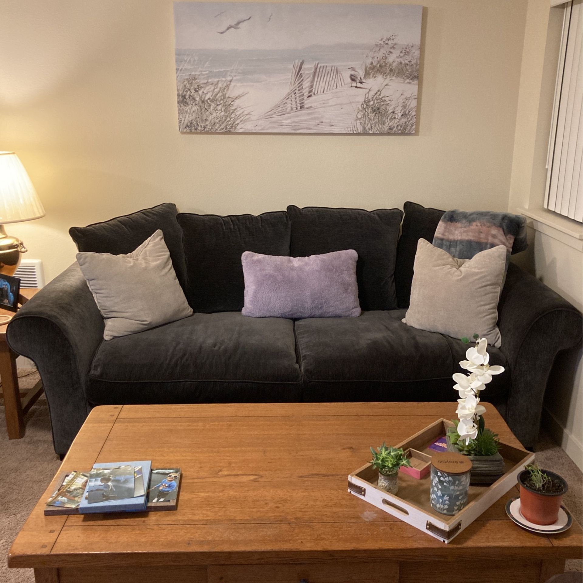 Couch Width 38 1/2 “and Length 89”