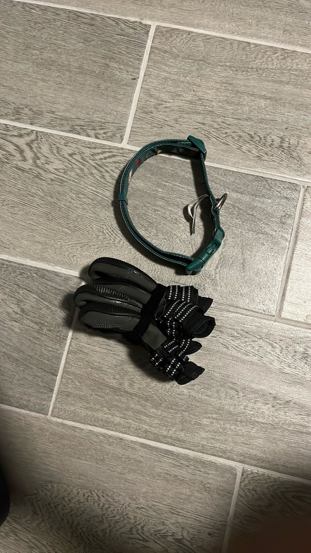 Dog Shoes and Collar 