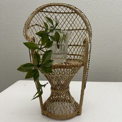 Vintage Boho Cottage Garden Patio Plant Flower Stand Peacock Chair 