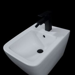 New Bidet.                                                                                      Bathroom Vanity 