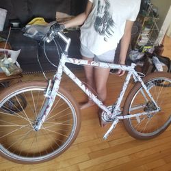 Art Specialized Smaller Frame Bike