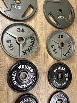 Olympic Weight Plates: 45s, 35s, 25s, 10s and 5s. Total: 236 lbs.