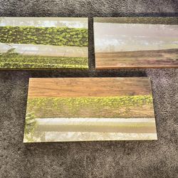 Picture Canvas