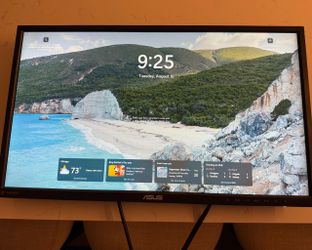 ASUS VN248Q-P 23.8” Full HD IPS Monitor — Works Great — No Stand