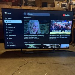 Sony 4K XBR49X830C 120Hz TV