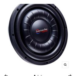 Hawlsim 10inch Subwoofer 