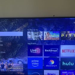 Roku Tv 