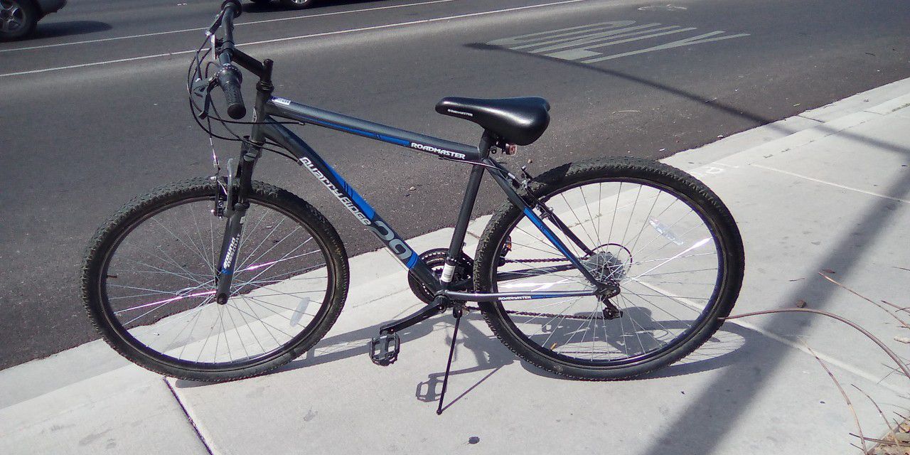 RoadMaster Quarry Ridge 29inch Men's Mountain Bike