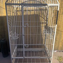 Parrot, Bird  Cage