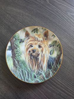 Yorkie Into the Woods plate # A8170