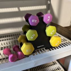 Dumbbells 2,3,5,8 Lb Set