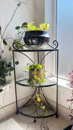 Wrought iron glass shelves corner plant stand or shelf