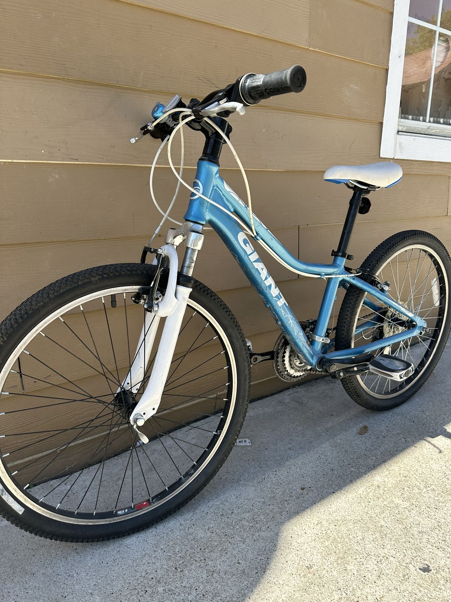 Aluminum Bike 🚴 Gigante Sz 24