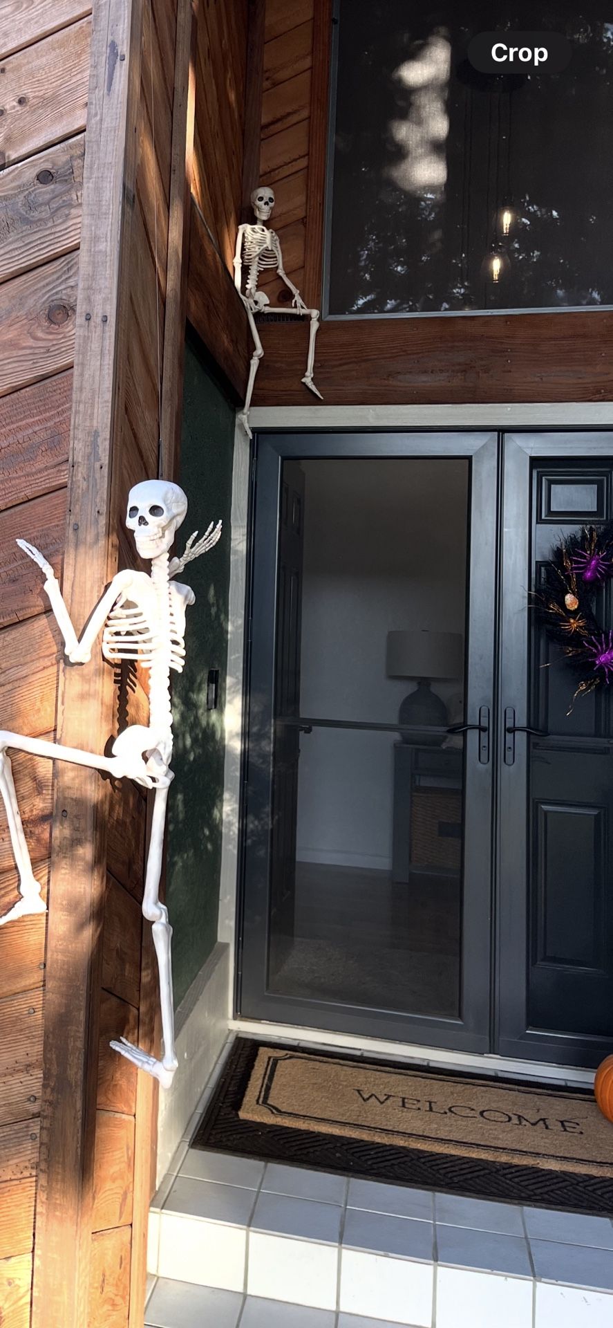 Double Screen door Black