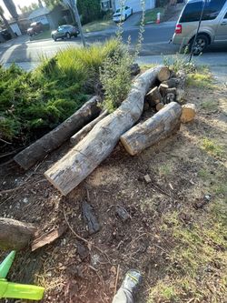 Free wood