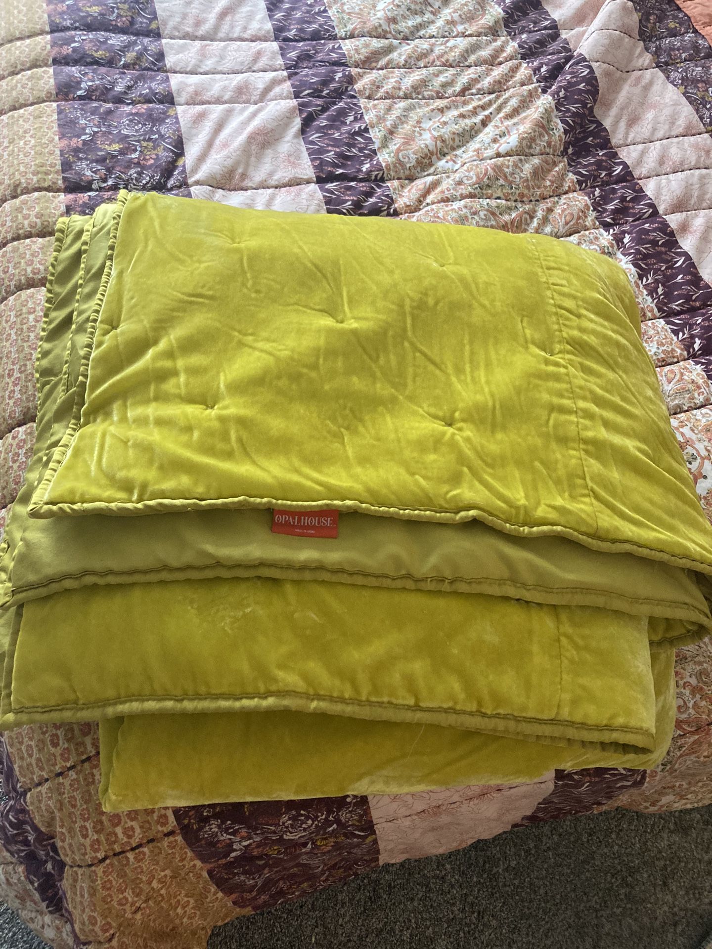 Opalhouse Chartreuse Green Velvet Comforter
