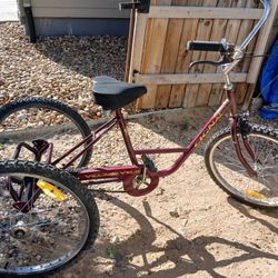 3 Wheel Bike