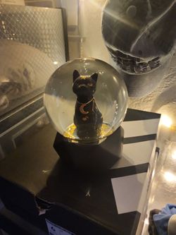 Cat Snow globe