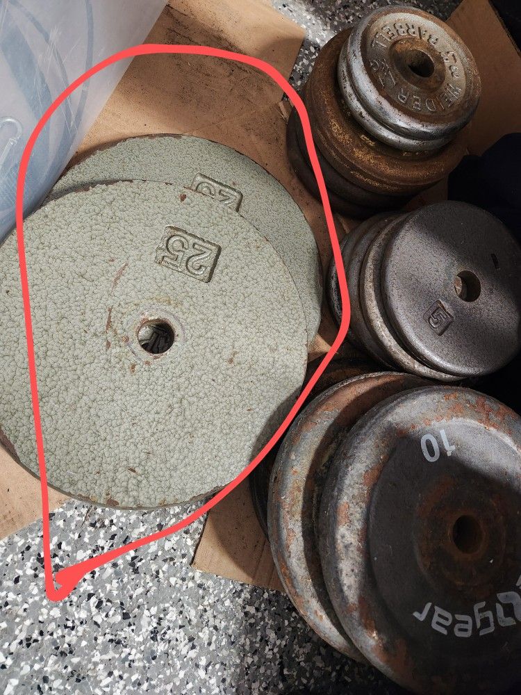 25s Gym Weights $40 Pair Bench Press Curl 💪