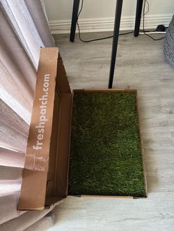 Fresh patch of grass for dogs/indoor -outdoor