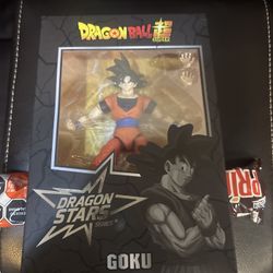 Dragon Ball Z Super Goku