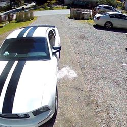 2008 Ford Mustang