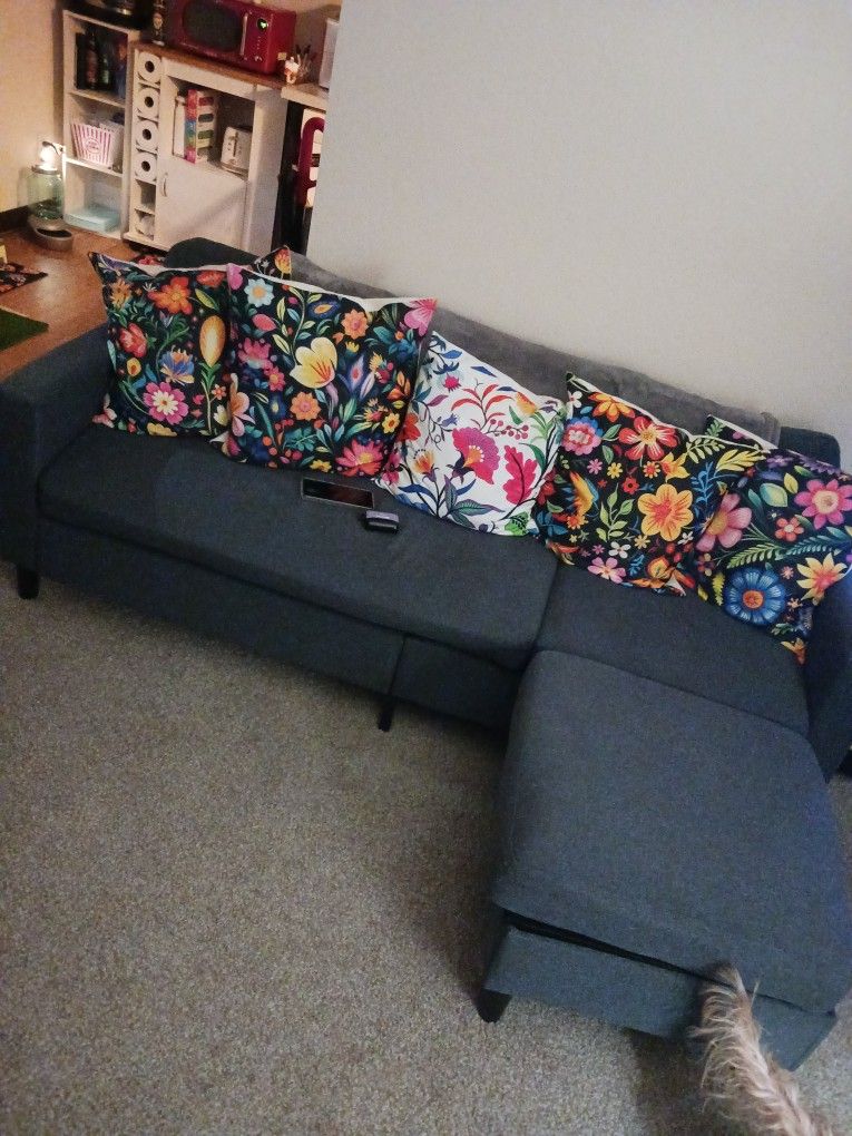 Couch For Sale