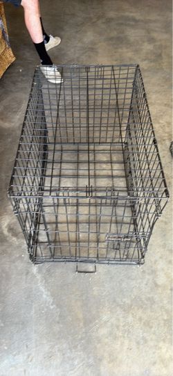 Kennel