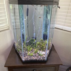 20 Gallon Hexagon Fish Tank