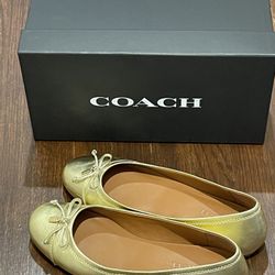 Coach shoes