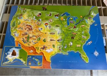 Wooden United States Map Puzzle